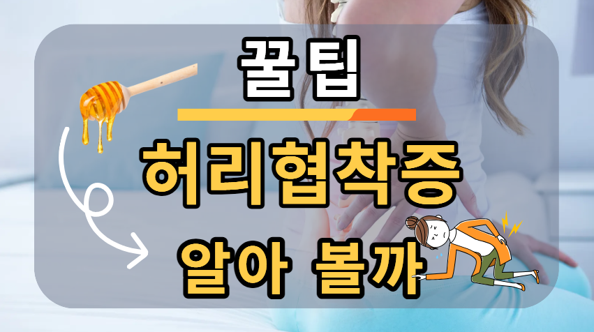 허리협착증 이해 이미지