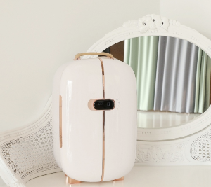 화장품 냉장고 사진