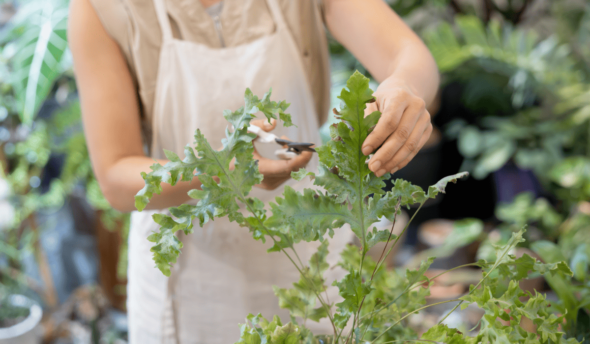 소상공인_지원금_신청_4