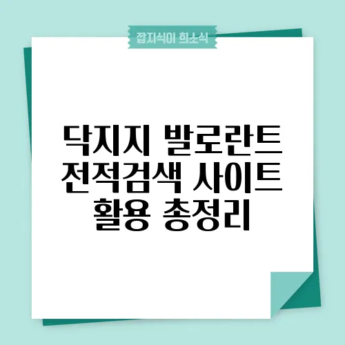 닥지지 발로란트 전적검색 사이트 활용 총정리