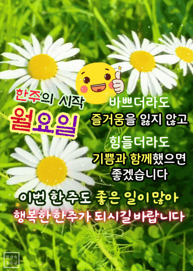 월요일 응원 인사말 여름 꽃 이미지