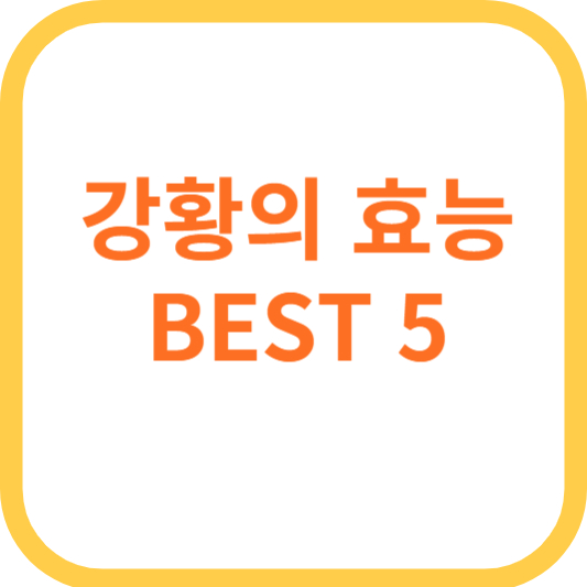 강황의 효능