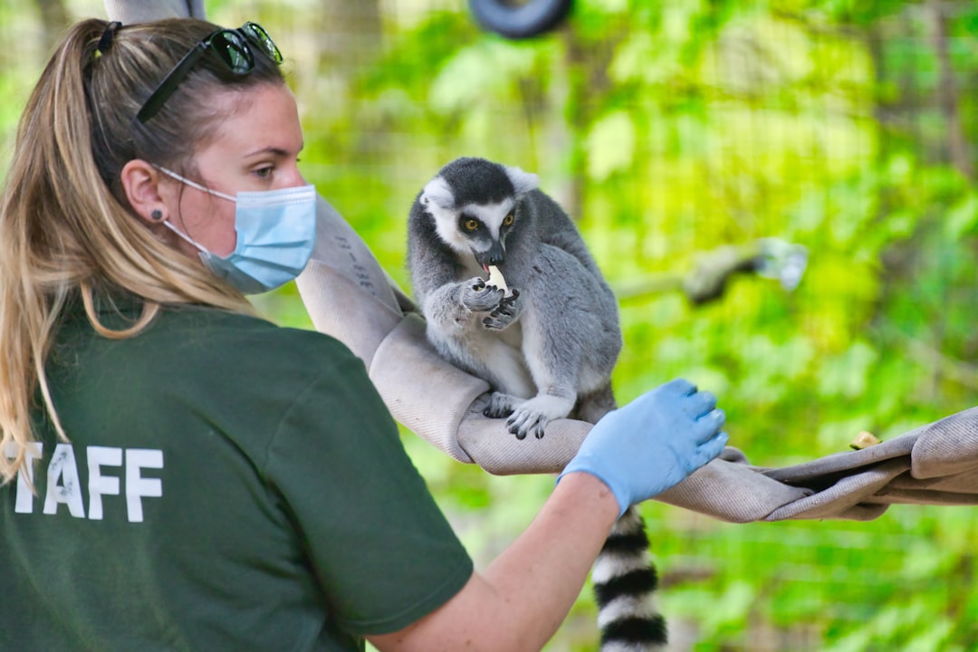 Veterinary