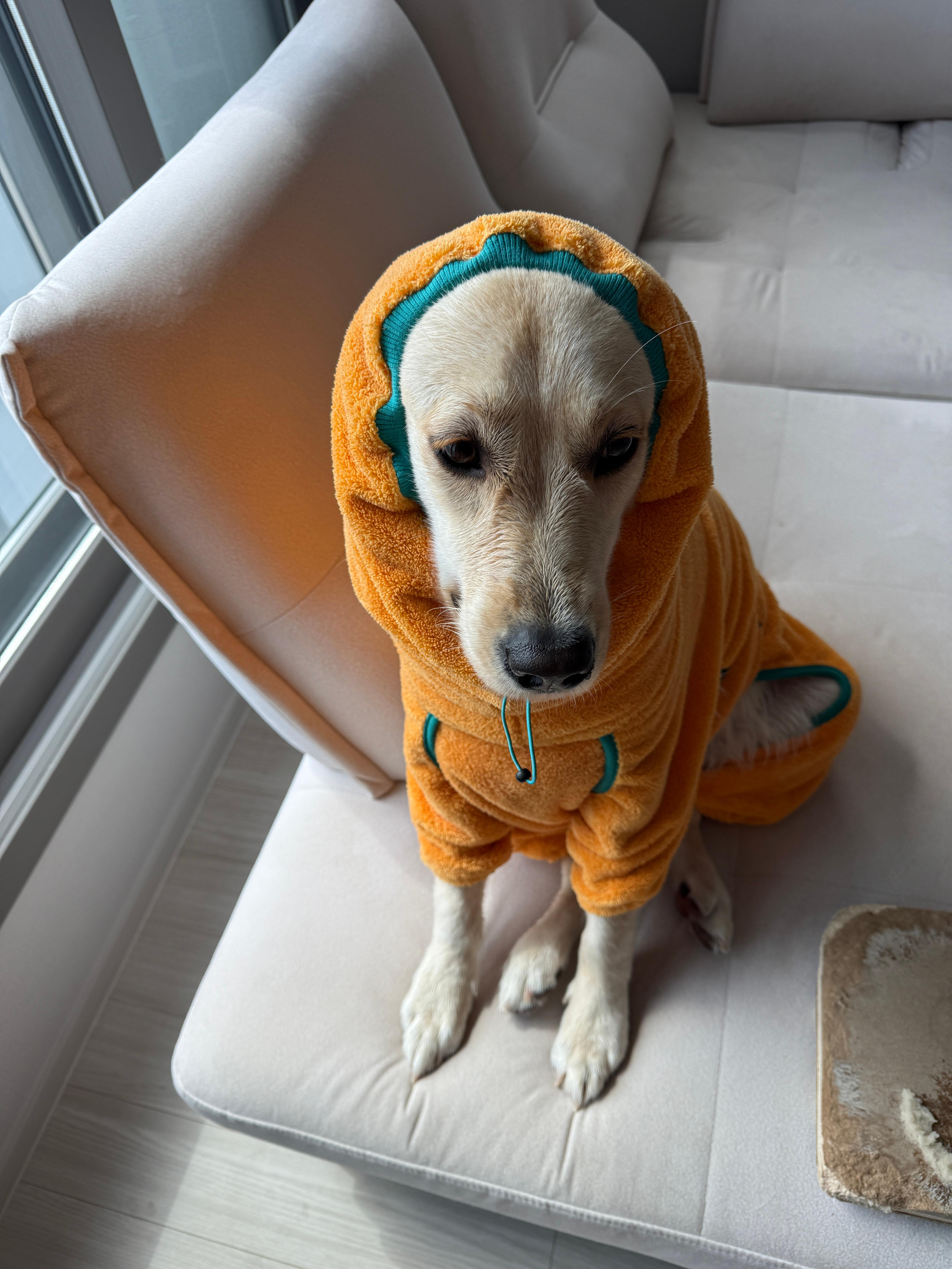 샤워 후 뽀송뽀송한 나무