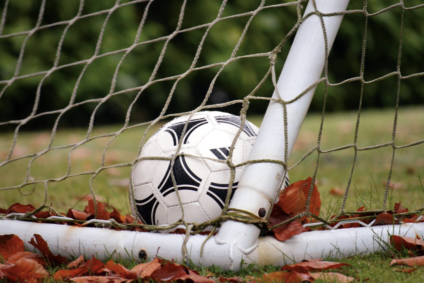 축구 관련 이미지