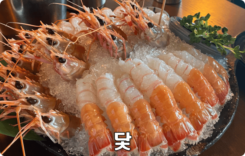 닻 딱새우회