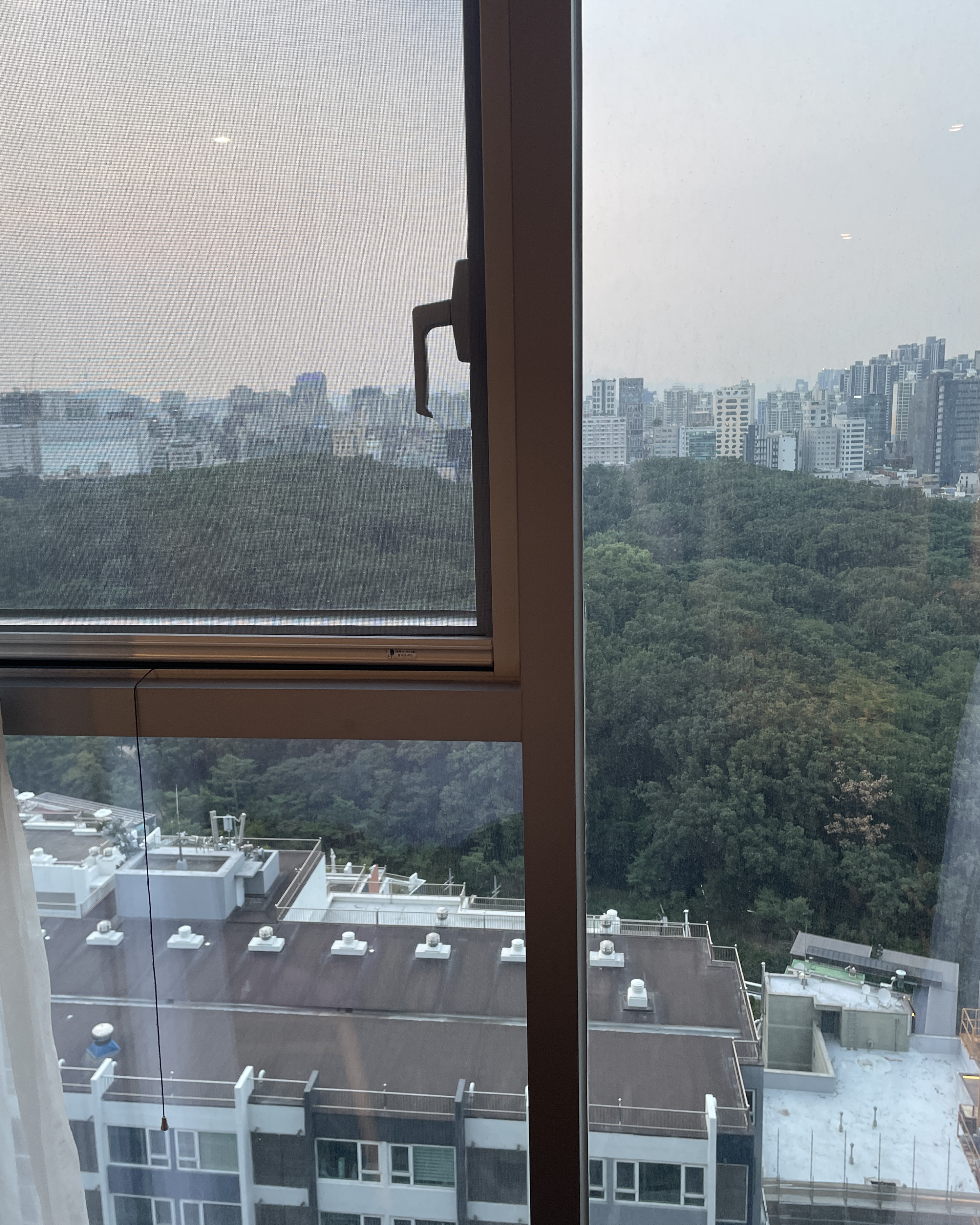 호텔 룸의 가든뷰 모습.