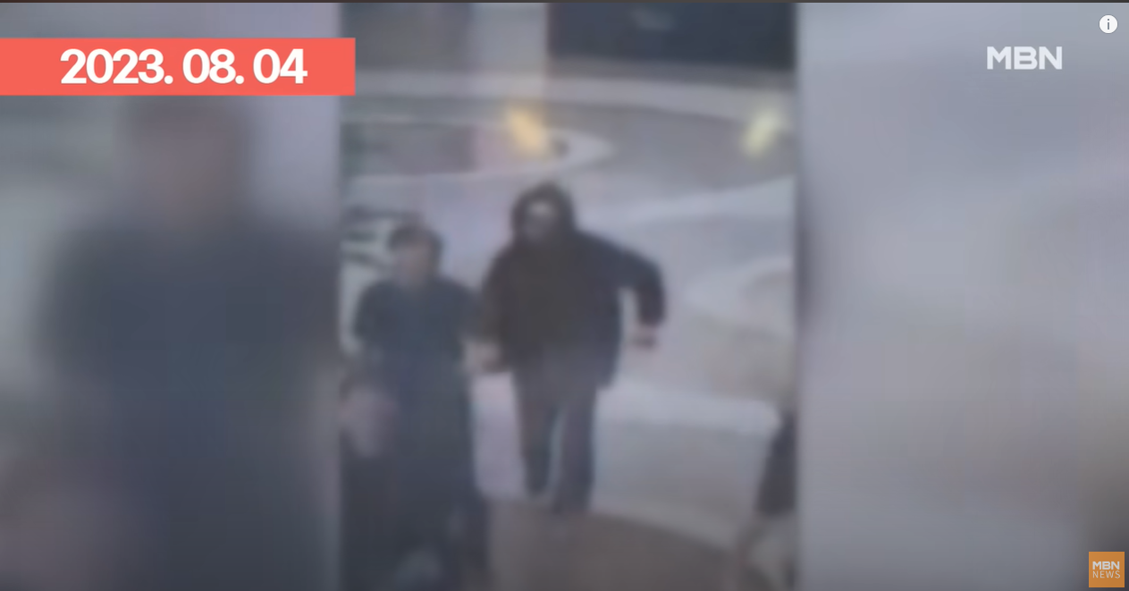 서현역 칼부림, 신림동 묻지마 살인