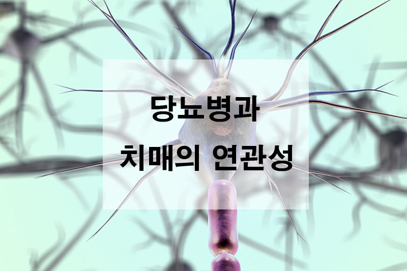 당뇨병과 치매의 연관성