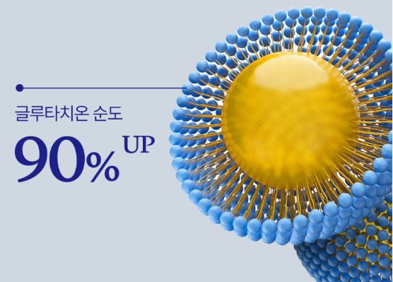 리포좀-글루타치온