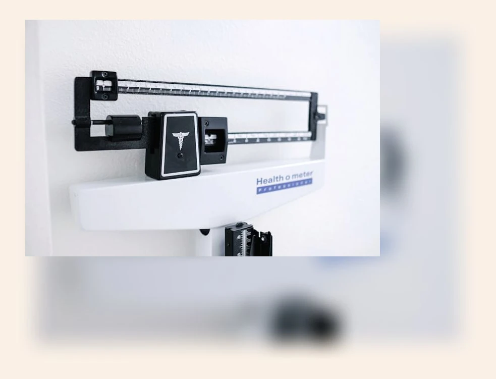 신장질환 식단_1_subsection