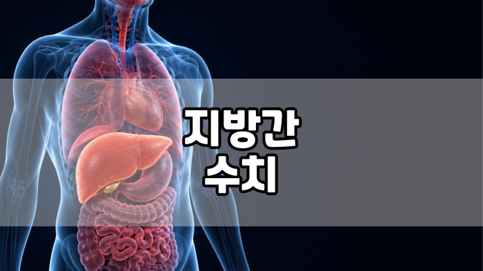 지방간 수치