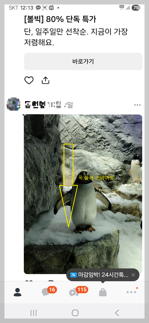 카톡 신기능