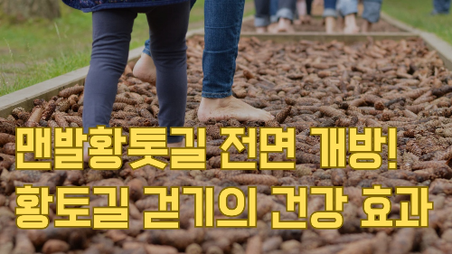 맨발황톳길 전면 개방! 황토길 걷기의 건강 효과