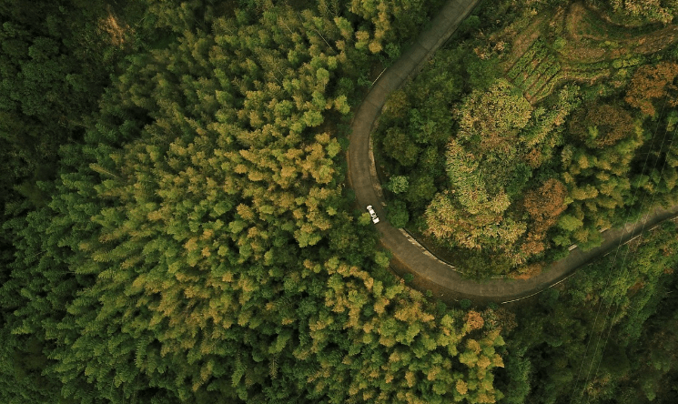 몬트리올 의정서 채택 오존층 협약