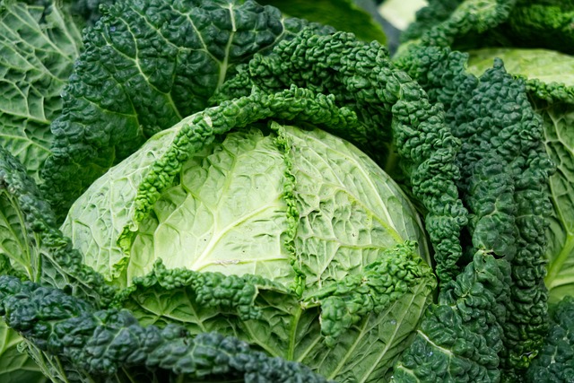 이마트 절임배추 사전예약