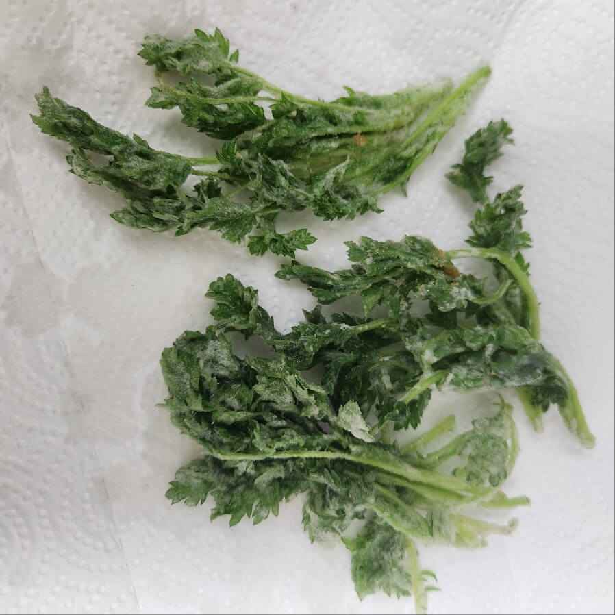 막걸리 안주 추천 편의점 막걸리 안주 간단한 막걸리 안주 집에서 막걸리 안주 막걸리에 어울리는 안주 막걸리 편의점 안주 해창막걸리 안주 막걸리 막걸리 칼로리 막걸리 조합 막걸리 안주 막걸리 안주 베스트 막걸리 안주 과자 막걸리 안주 편의점 막걸리 안주 만들기 막걸리 안주 궁합 막걸리안주 베스트 순대볶음 만들기 - 술안주 야식메뉴 막걸리 안주 술안주로 아주 좋아요 돼지목살 김치찜 막걸리안주 부추요리 바삭한 부추전 꿀팁 막걸리 안주 참치캔을 활용한 참치두부전 레시피! 막걸리안주 숙주 김치전 막걸리안주 방아잎요리 방아장떡 막걸리 안주 레시피 해물파전 막걸리 안주로 최고! 해물대파전 만드는 방법