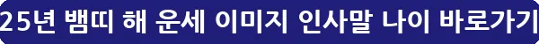 2025년 뱀띠 해 운세 이미지 인사말 나이_10
