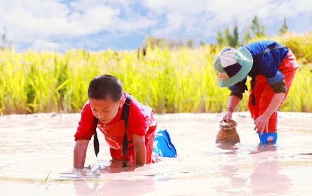 미꾸라지 꿈해몽