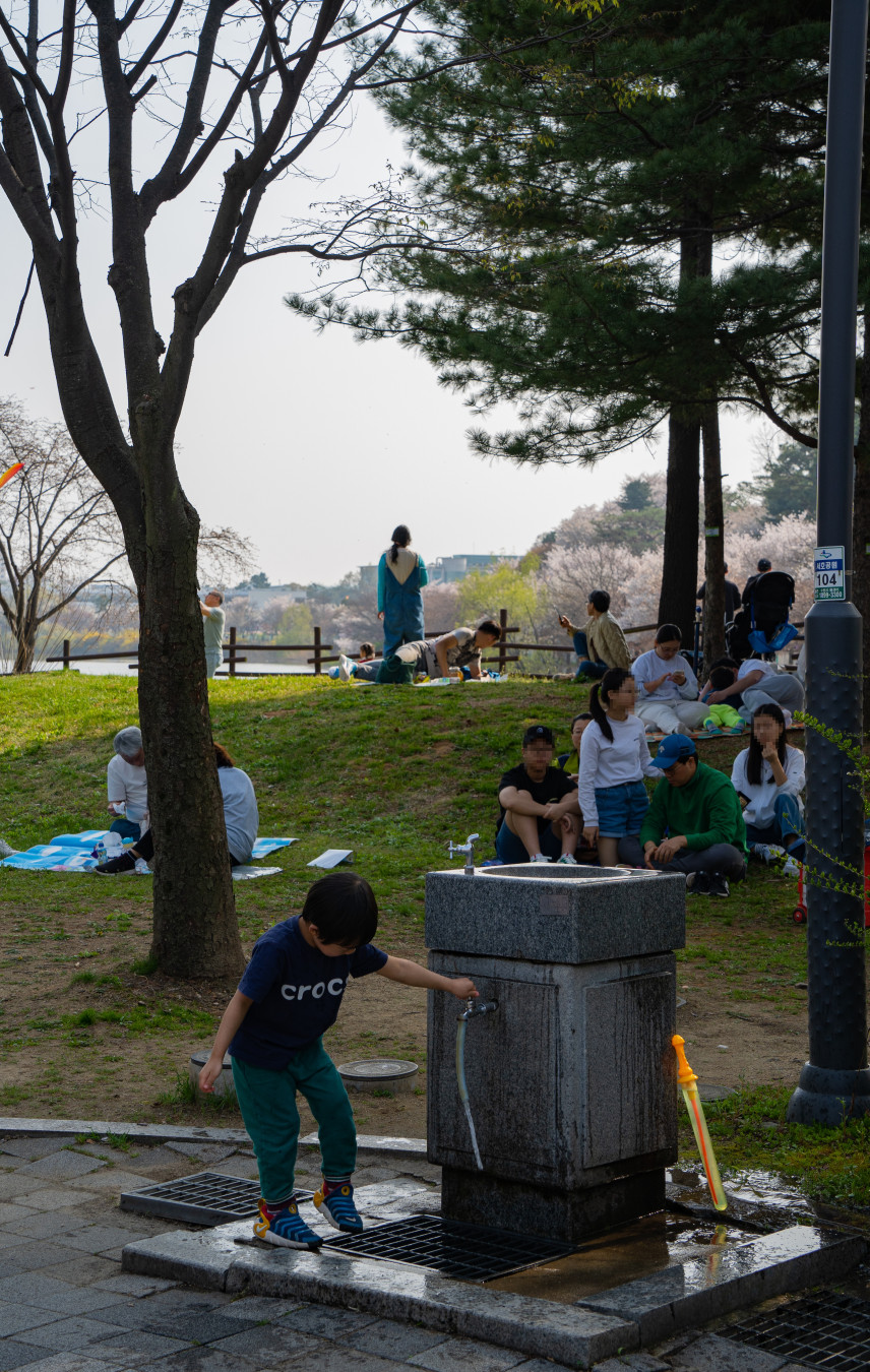 수원 서호공원 피크닉