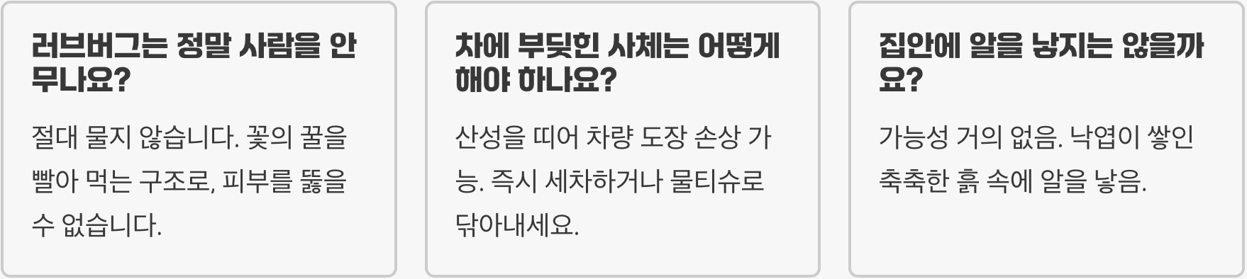 러브버그, 사람에게 해로운 벌레일까? (익충 vs 해충)