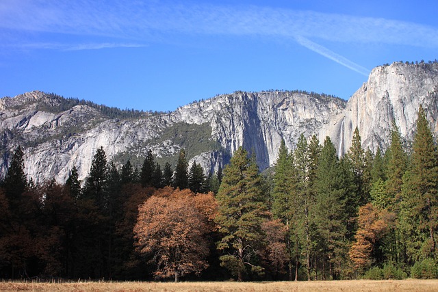 미국 본토 완주 대여정 ( 최적코스, 국립공원, 맛집, 주변관광지, 준비물 총정리)