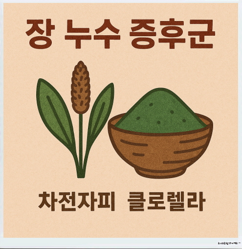 입냄새 잡는_장 누수 증후군_차전자피와 클로렐라