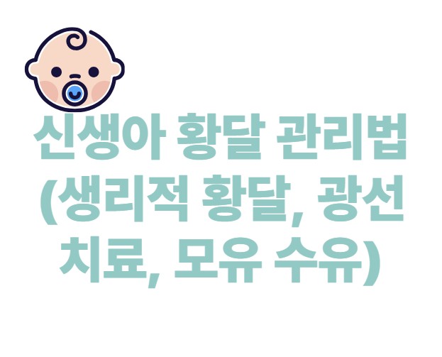 신생아 황달 관리법