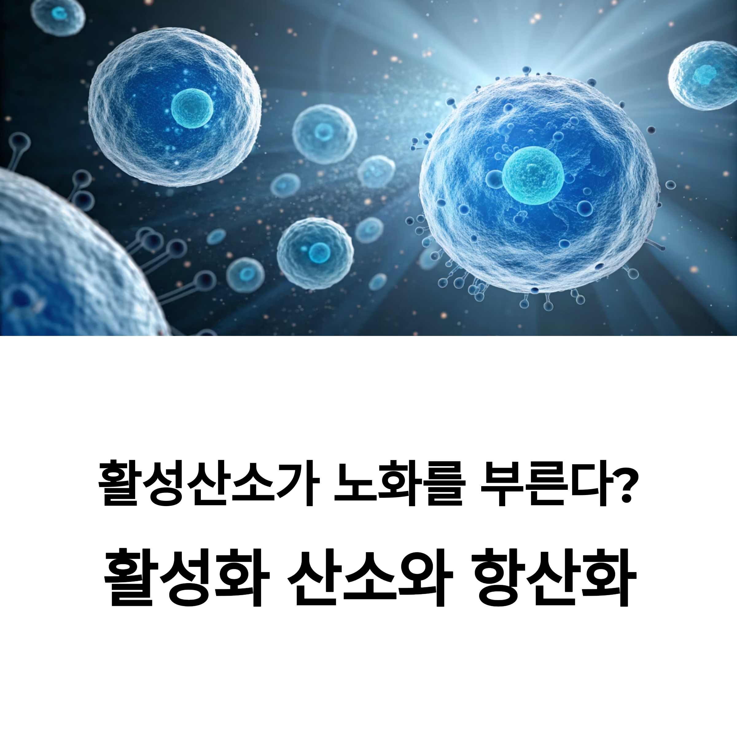 텍스트이미지