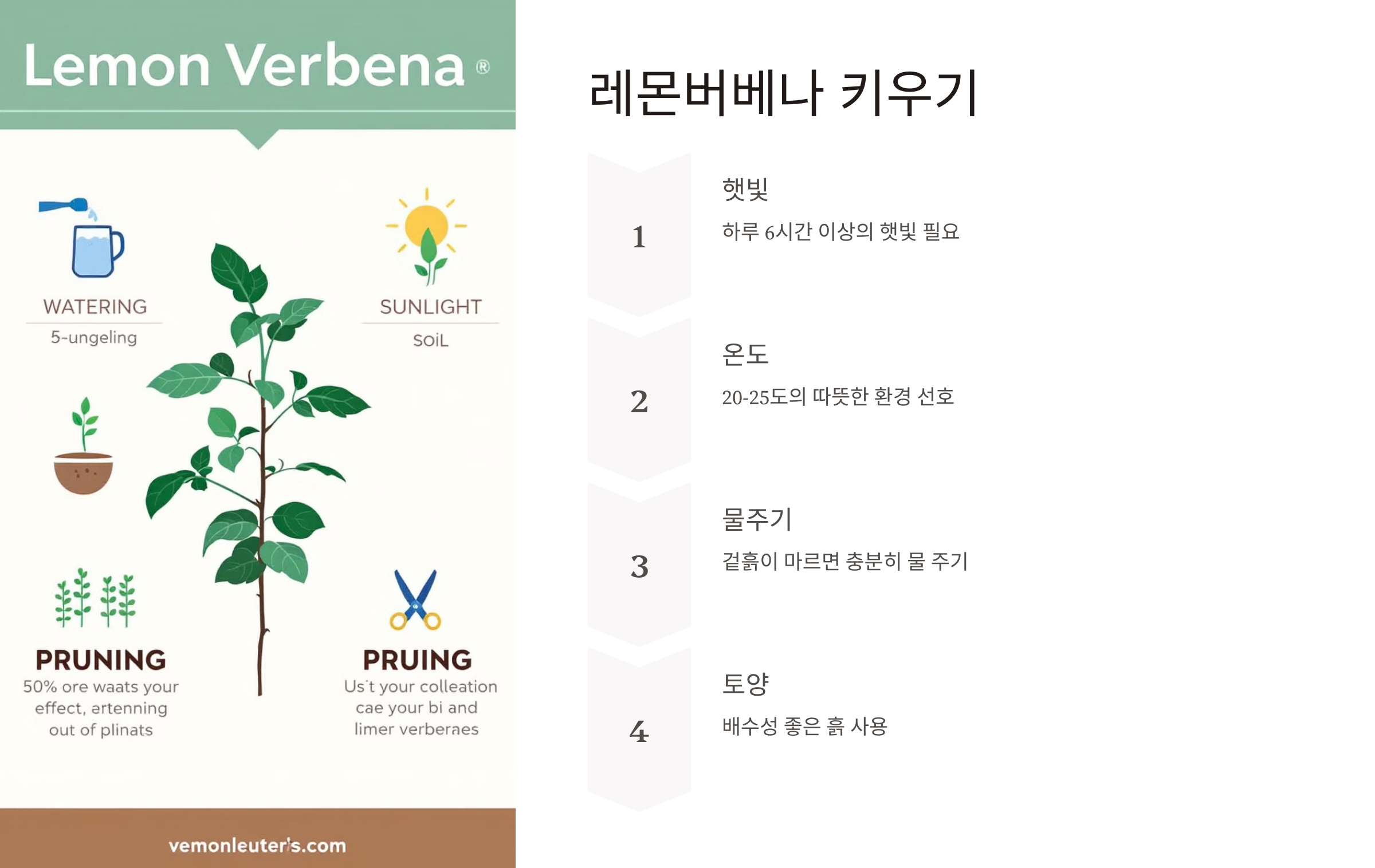 11월 13일의 탄생화