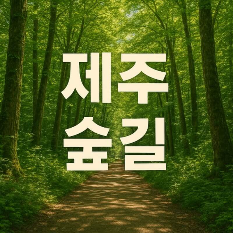 제주 숲길 여행 (비자림, 한라생태숲, 사려니숲길) 관련사진