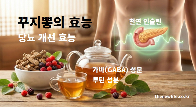 천연 인슐린 작용을 하는 꾸지뽕 당뇨 개선 효능과 가바와 루틴 성분을 설명하는 이미지