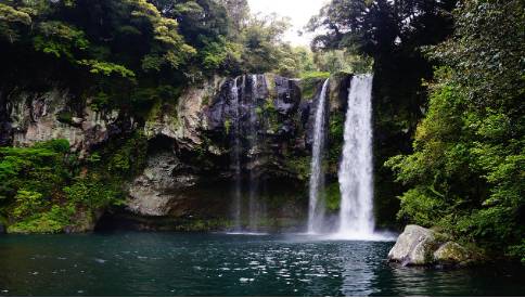 제주 숲 속 천제연폭포 전경