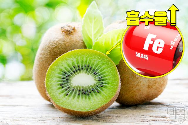 피가 부족할때 좋은 음식 피부족에 좋은 음식 키위