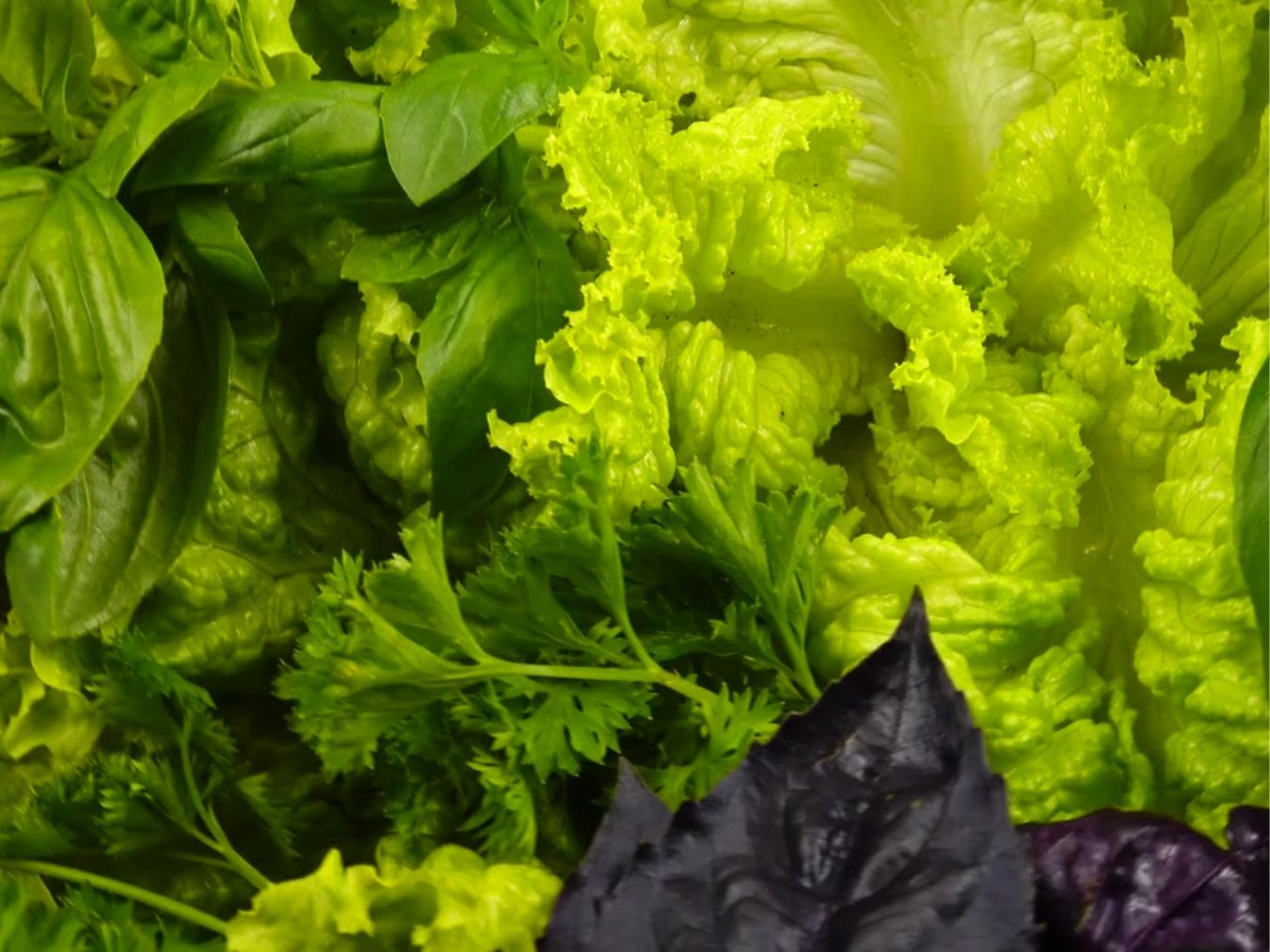 야맹증에 좋은 음식