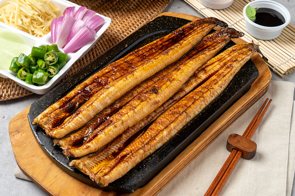 먹장어는 우리에게 '곰장어' 혹은 '꼼장어'란 이름으로 친숙합니다. 겉모습은 꽤 징그럽지만, 매콤한 양념에 볶아먹는 일명 '꼼장어 양념구이'와 짚불에 훈연하듯 구워 먹는 '꼼장어 소금구이'는 여름철 최고 보양식이자 별미입니다.