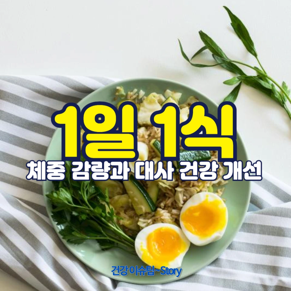 1일 1식이 정말 건강에 좋은가?