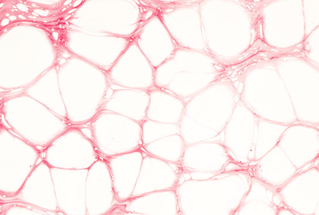 코큐텐 복용시간