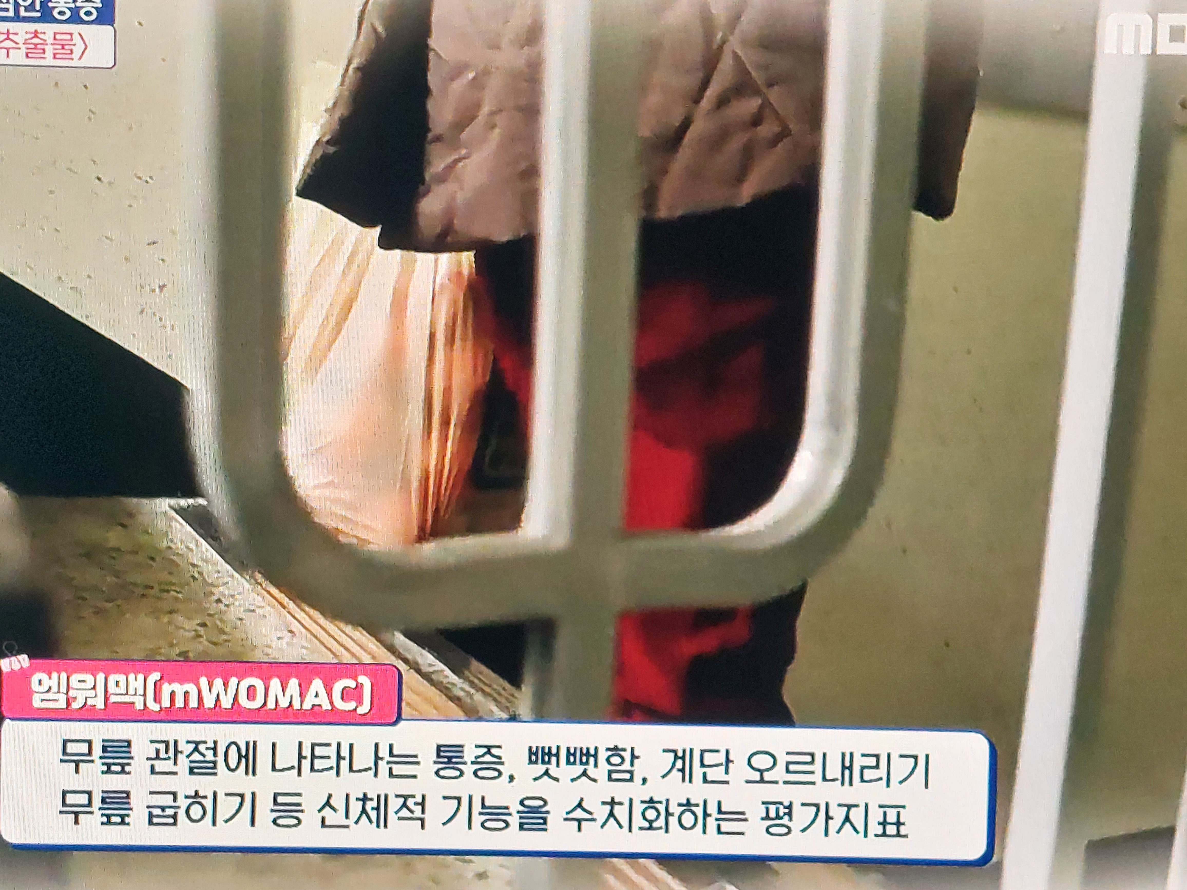 가자추출물 효능