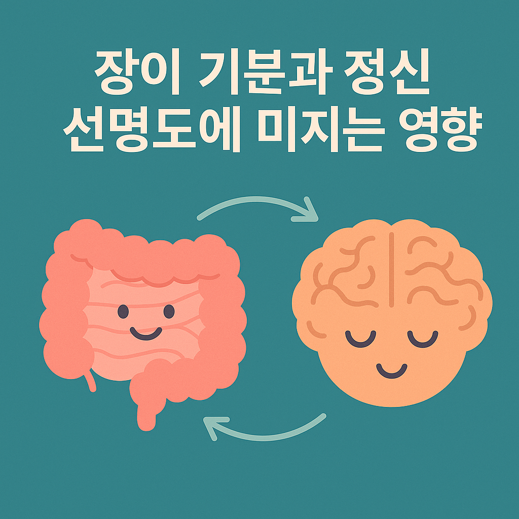 장 건강이 기분과 정신 선명도에 미치는 영향