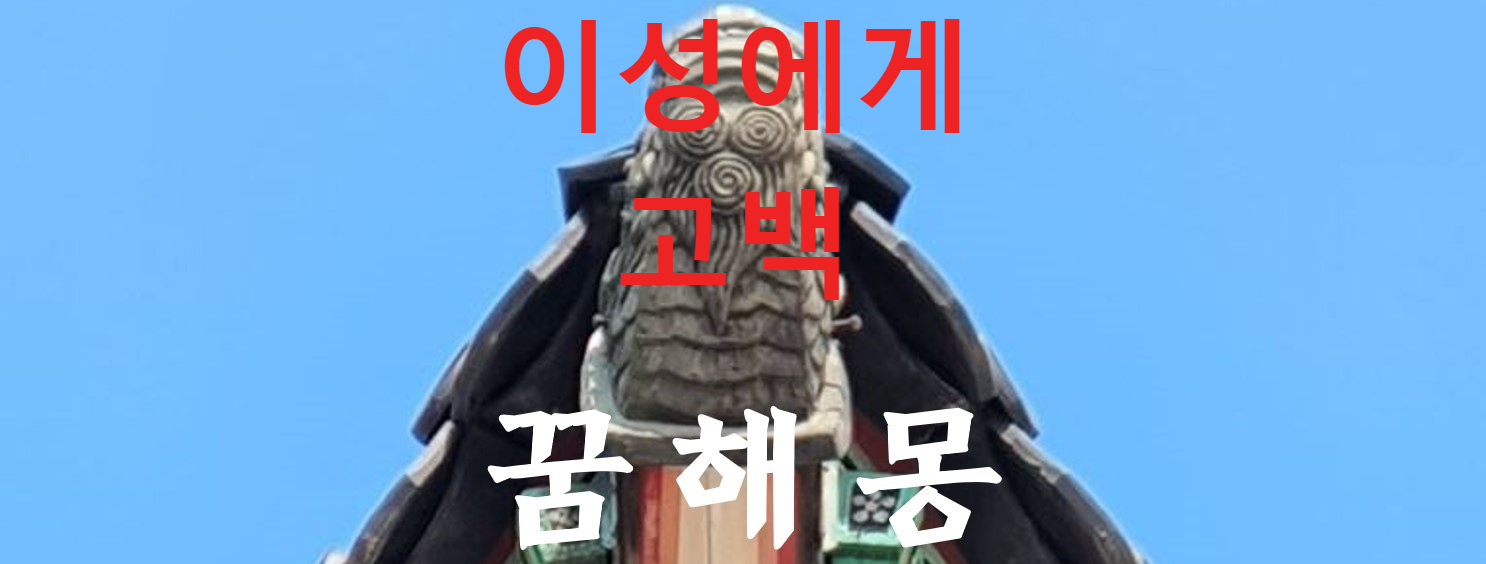 꿈해몽