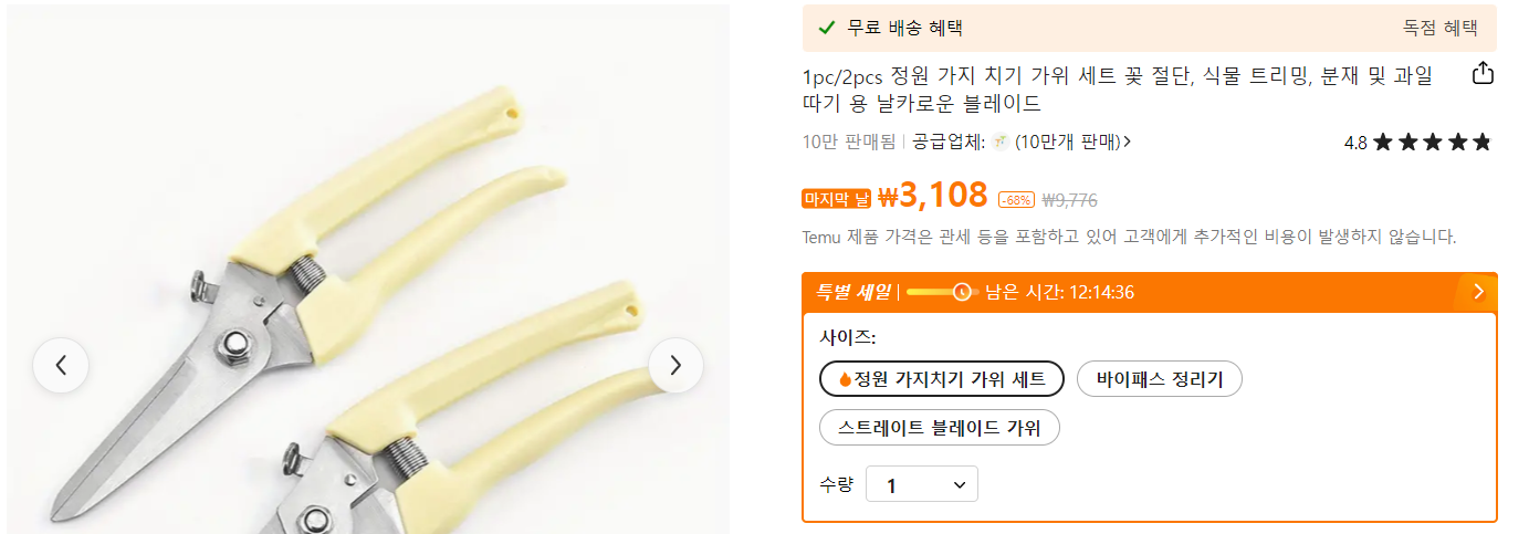 올리브 나무 제대로 키우기 및 물 주는 법 (+ 가지치기 묘목 화분)