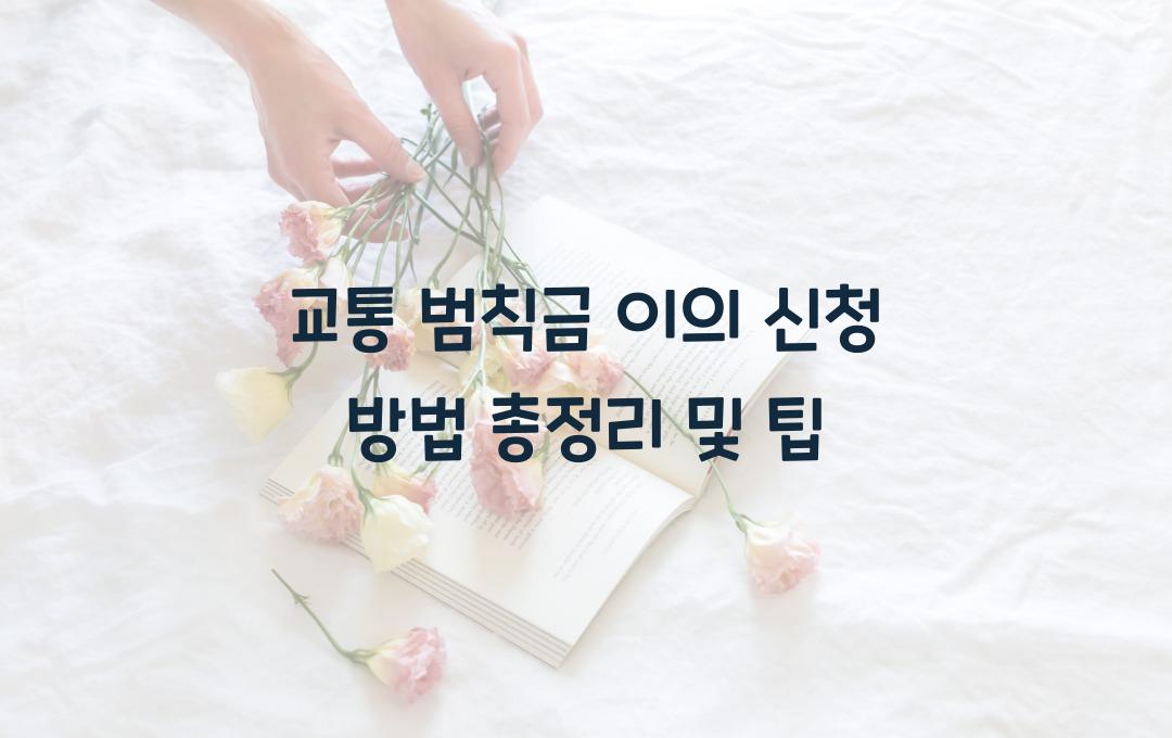 교통 범칙금 이의 신청 방법