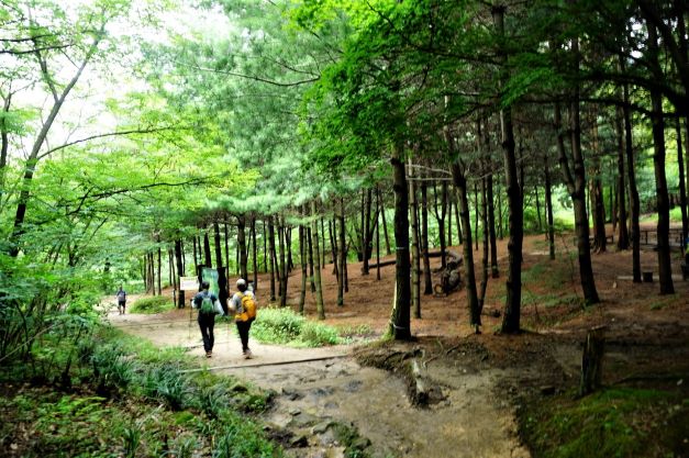 송림 길, 두 사람, 여 2, 녹색배낭, 노란배낭, 검은 옷, 흰 옷, 둘다 검은 바지,