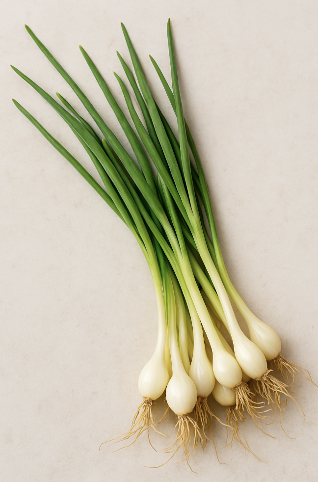 봄철 달래 이미지