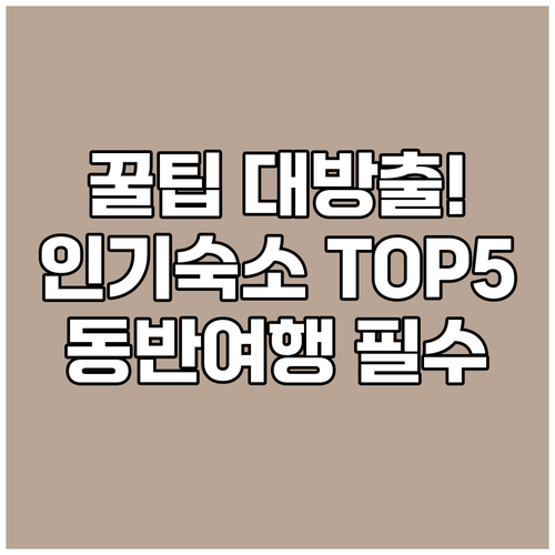 동반 여행 필수 정보! 인기 숙소 T