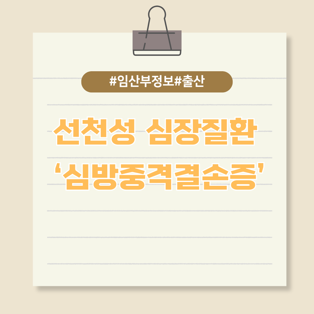 임신 중 태아에 발생하는 선천성 심장질환 &lsquo;심방중격결손증&rsquo;은 무엇일까?