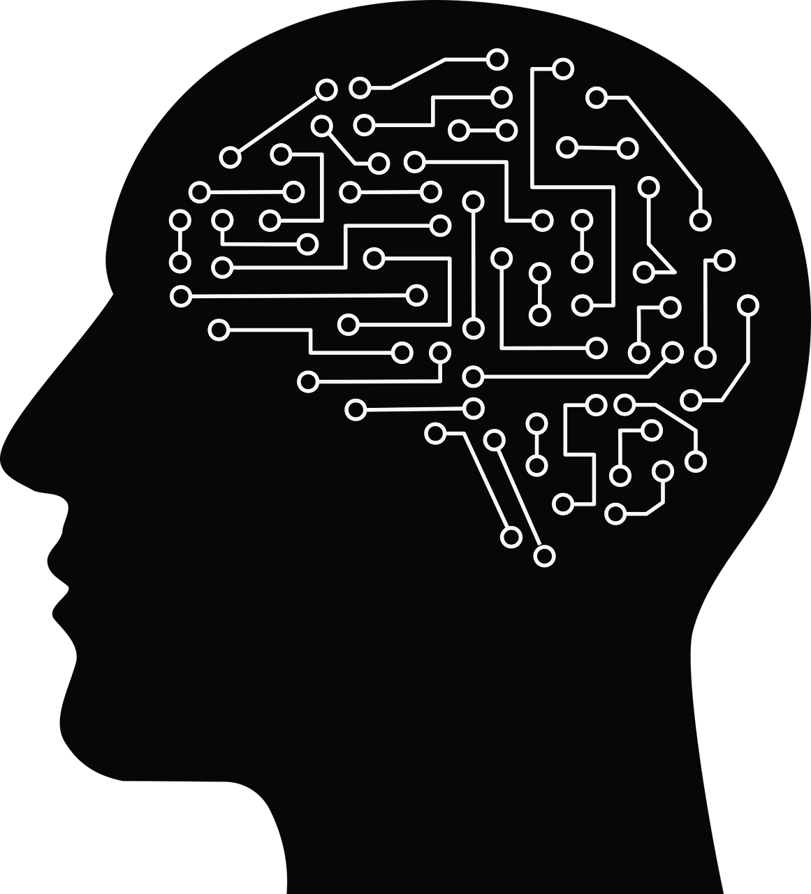 가짜 기억 실험(False Memory): 우리 뇌는 기억을 조작할 수 있을까?