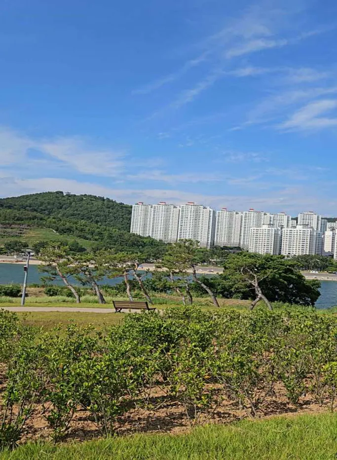 장도