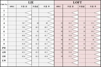 골프 라이각 맞춤 피팅 구질 교정 방향성 안정 거리 향상_9